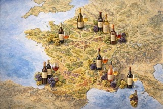 paysage de vignobles français avec rangs de vignes et domaine viticole traditionnel illustrant la diversité du vin en France
